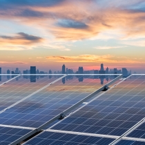 Bagaço da cana-de-açúcar é reaproveitado pela indústria no Paraná e vira energia, ração e plástico