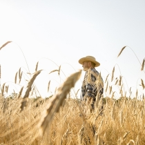 Poder de compra de fertilizantes pelo agricultor melhora em junho