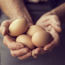 4 pontos para entender a escassez de ovos no mundo